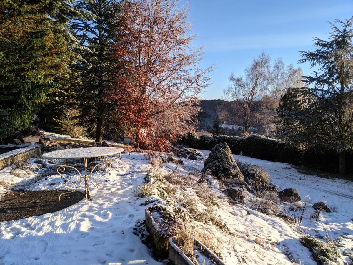 Appartement De Plain-Pied En Montagne Avec Vue Merveilleuse Sur Le Massif De Belledonne Saint Bernard du Touvet エクステリア 写真
