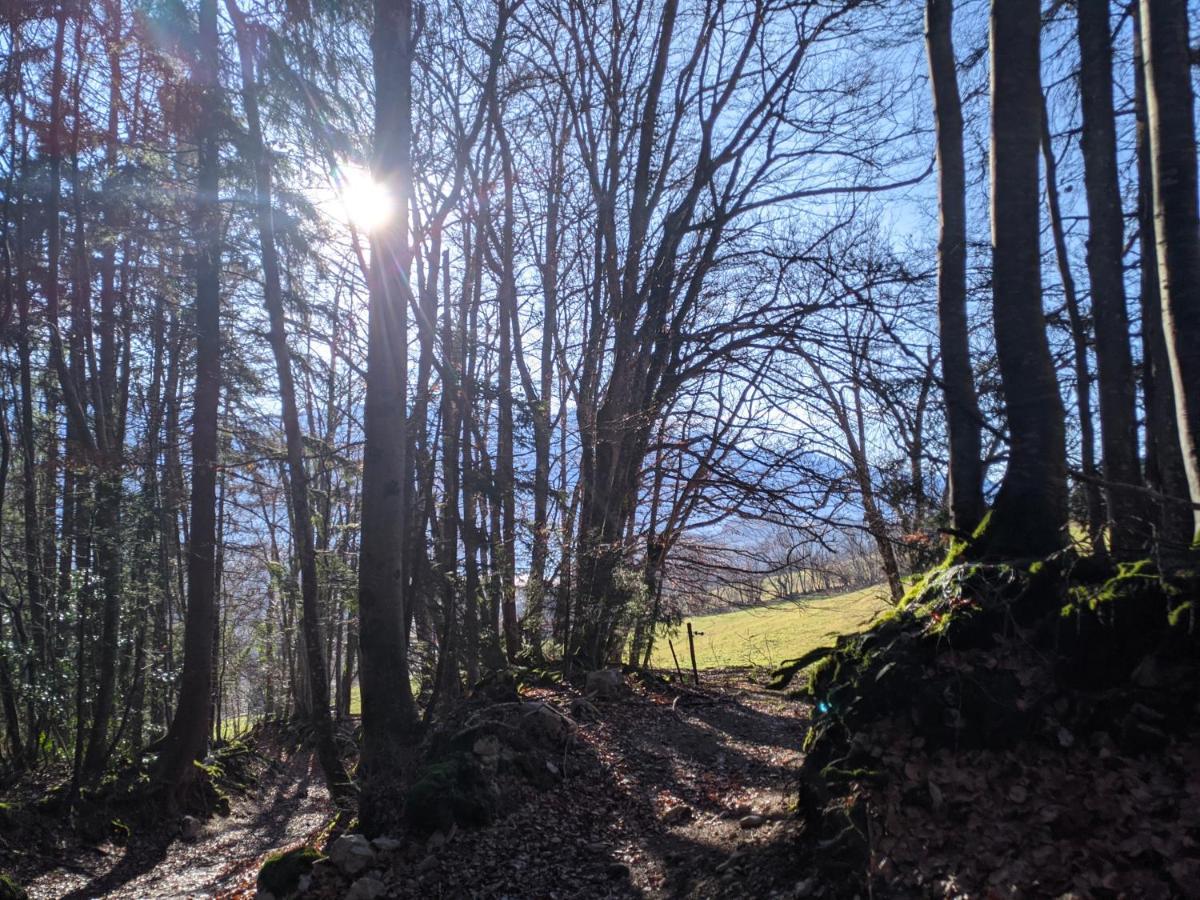 Appartement De Plain-Pied En Montagne Avec Vue Merveilleuse Sur Le Massif De Belledonne Saint Bernard du Touvet エクステリア 写真
