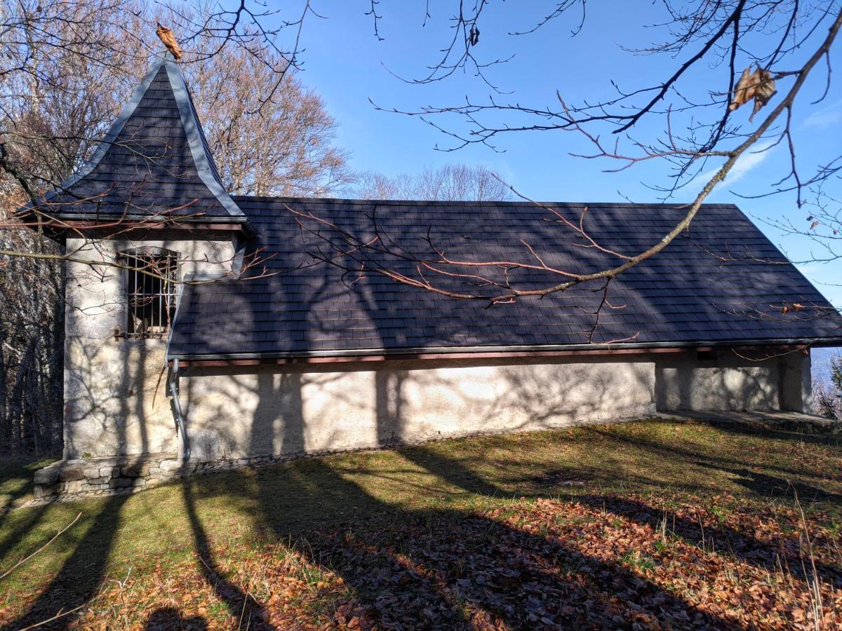 Appartement De Plain-Pied En Montagne Avec Vue Merveilleuse Sur Le Massif De Belledonne Saint Bernard du Touvet エクステリア 写真